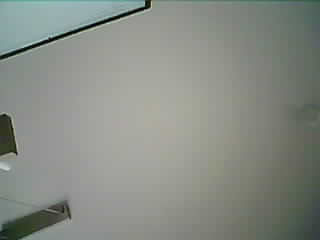 Uploaded Image