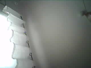 Uploaded Image