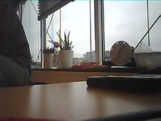 Uploaded Image